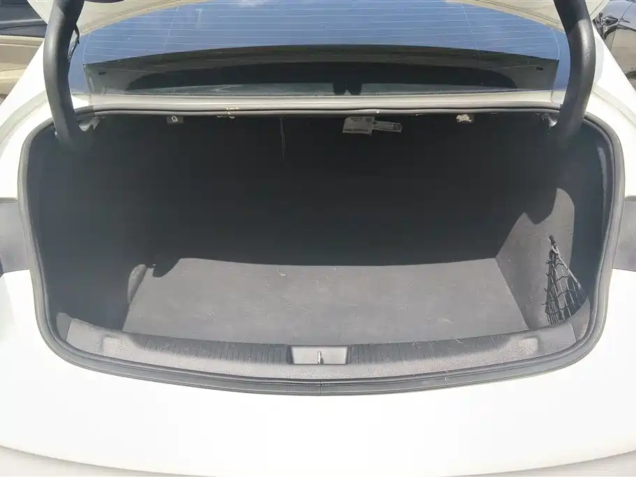 Buick Regal 2020 552T Elite фото 4