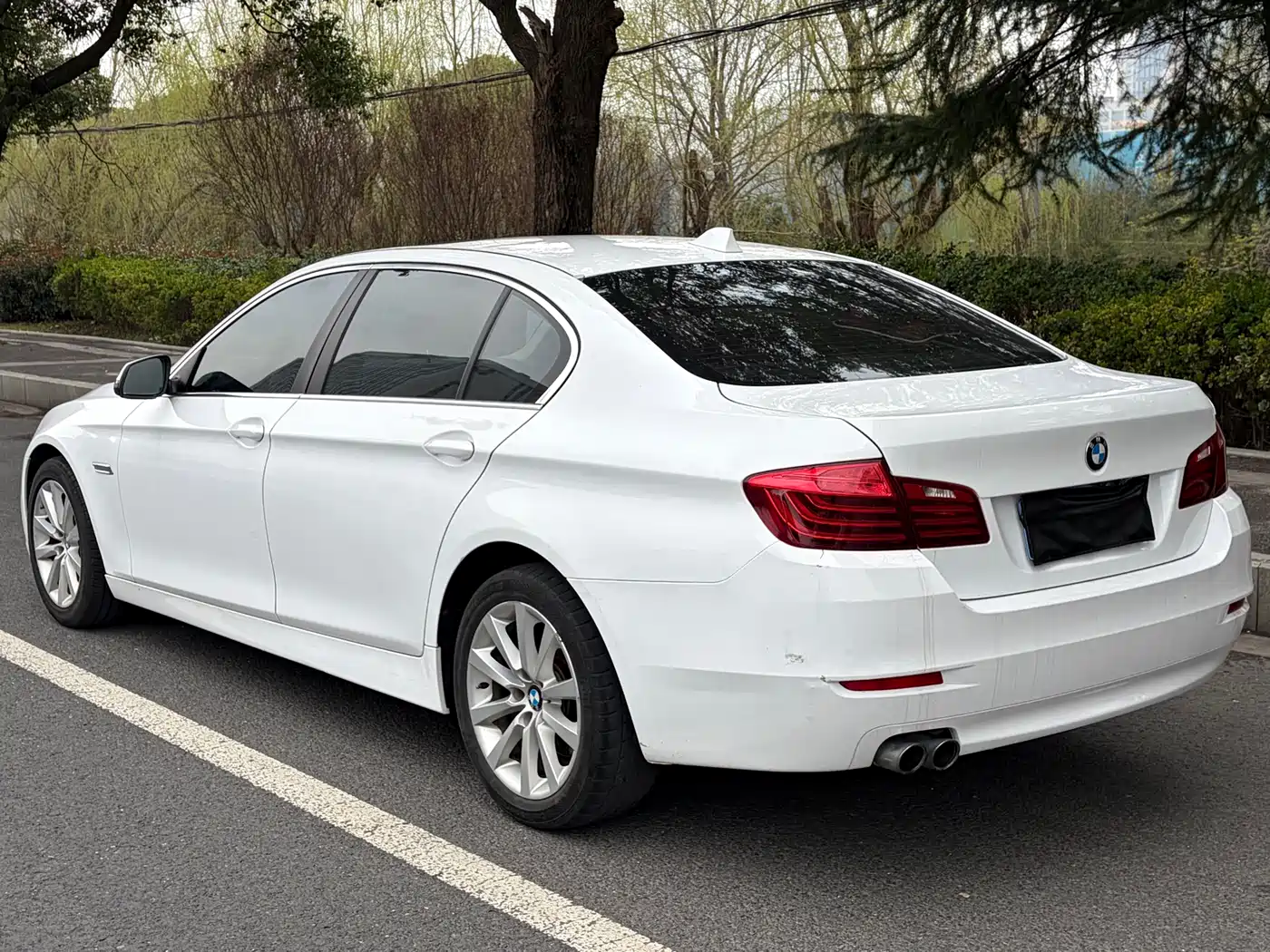 BMW 5 Series 2014 530Li Leading фото 4
