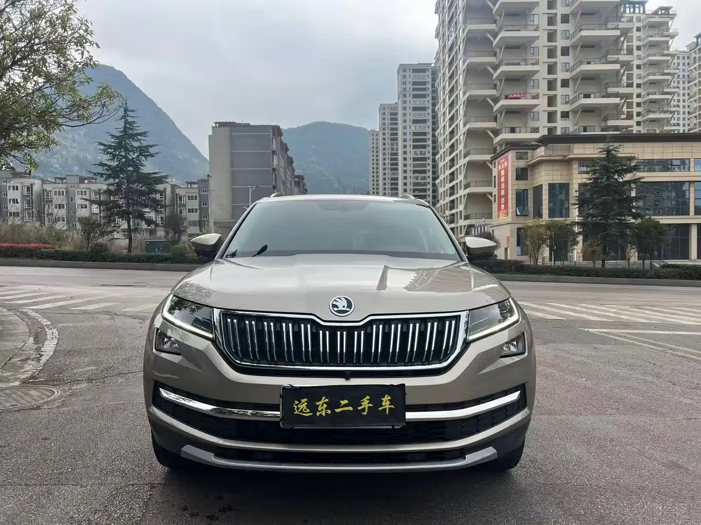 Škoda Kodiaq 2019 Edition TSI330 5-Seater 2WD Luxury Premium Version China V фото 2