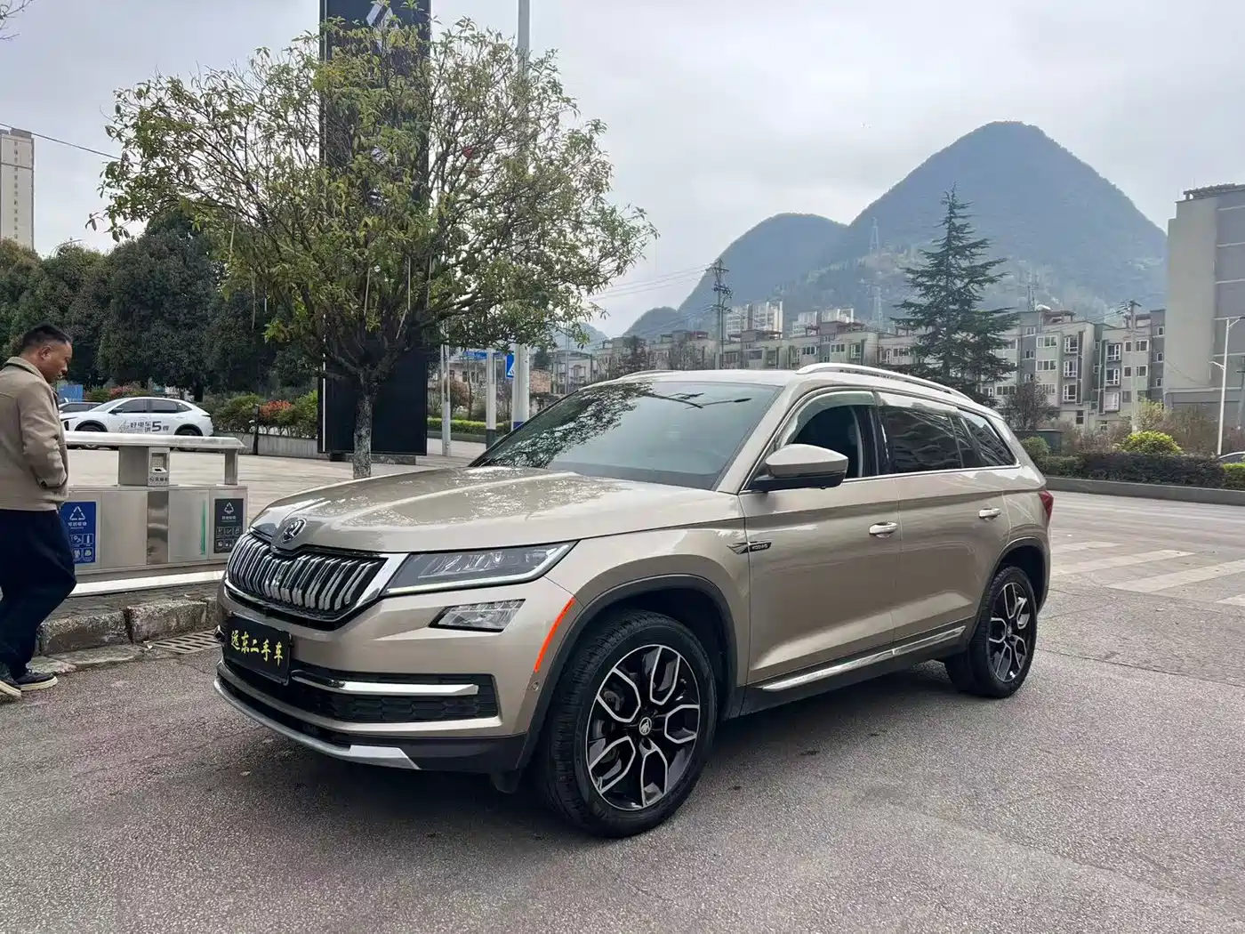 Škoda Kodiaq 2019 Edition TSI330 5-Seater 2WD Luxury Premium Version China V фото 3