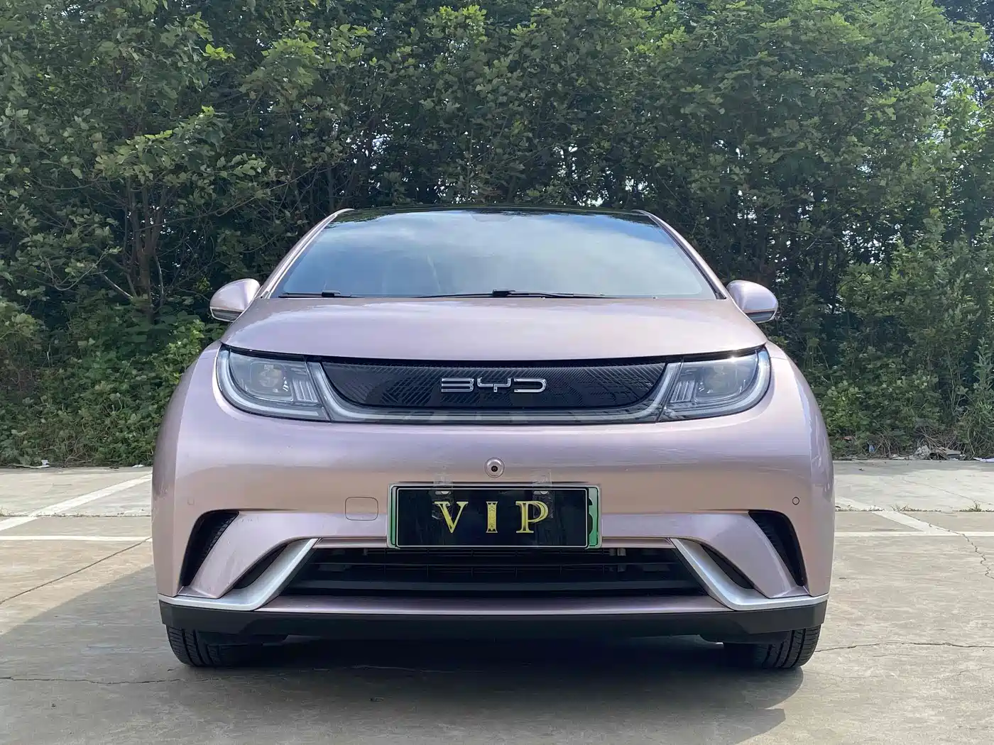 BYD Dolphin 2023 420km Fashion Edition фото 2