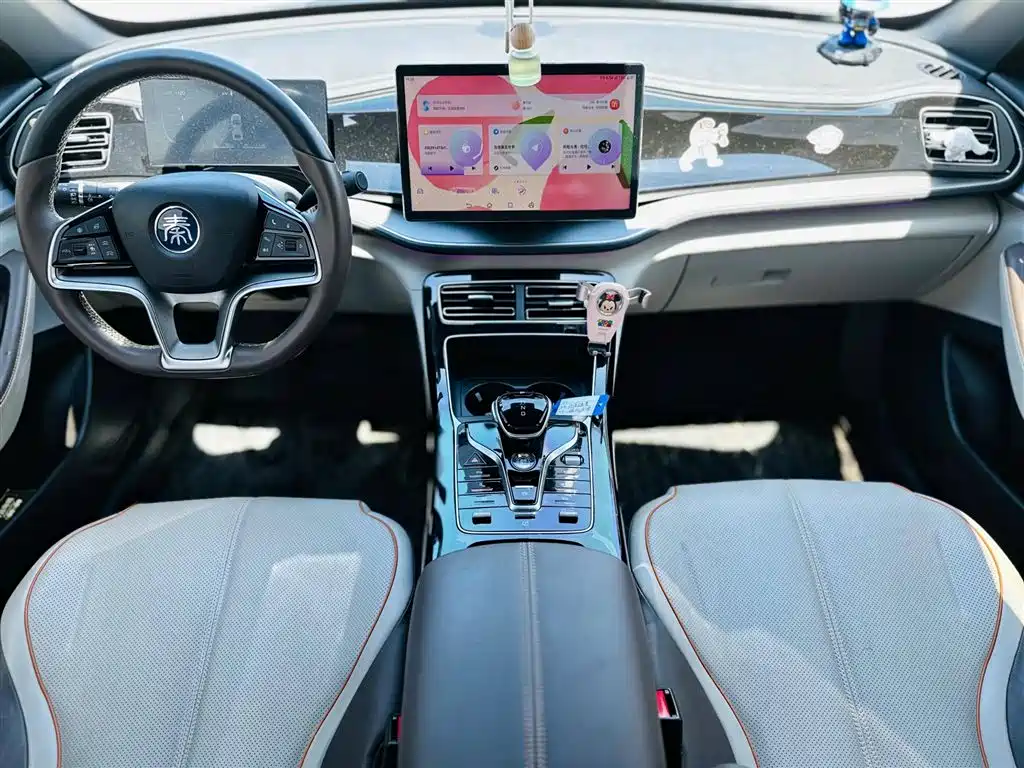 BYD Qin PLUS 2023 Champion Edition DM-i 120KM Excellence фото 10