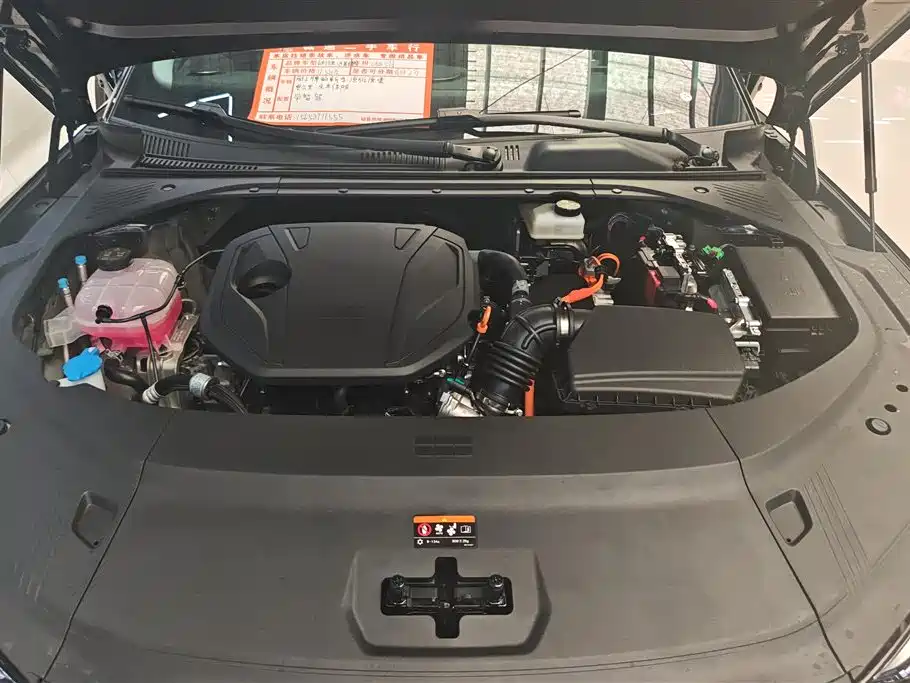 Geely Galaxy Galaxy Xingyao 8 2025 Model 60km EM-i Luxury Edition фото 10