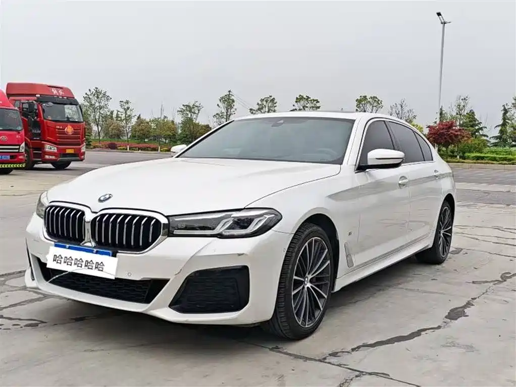 BMW 5 Series 2021 530Li Executive Luxury Package фото 3