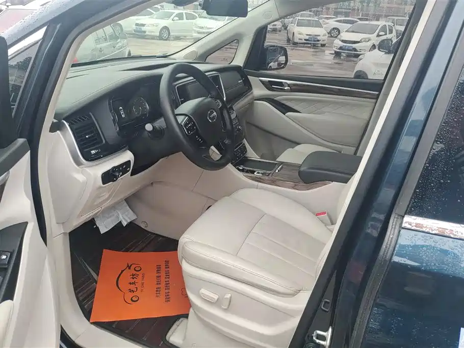 GAC Trumpchi Trumpchi M8 2018 320T Premium Edition фото 9
