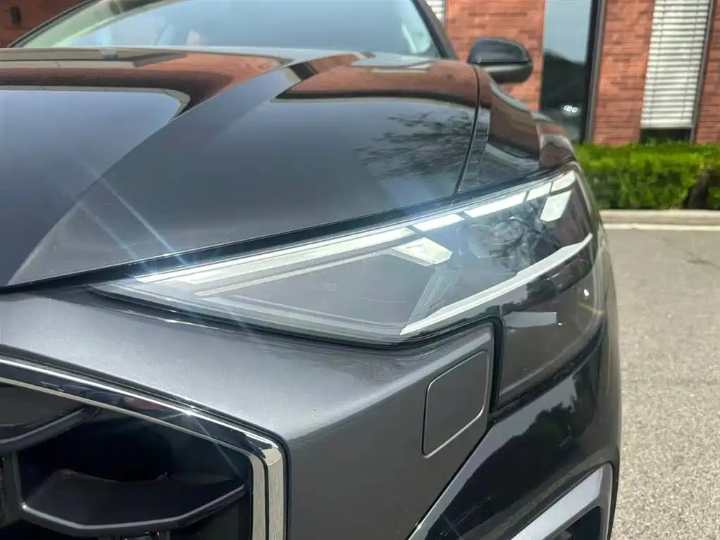 Audi Q8 2024 55 TFSI Luxury Sport фото 6
