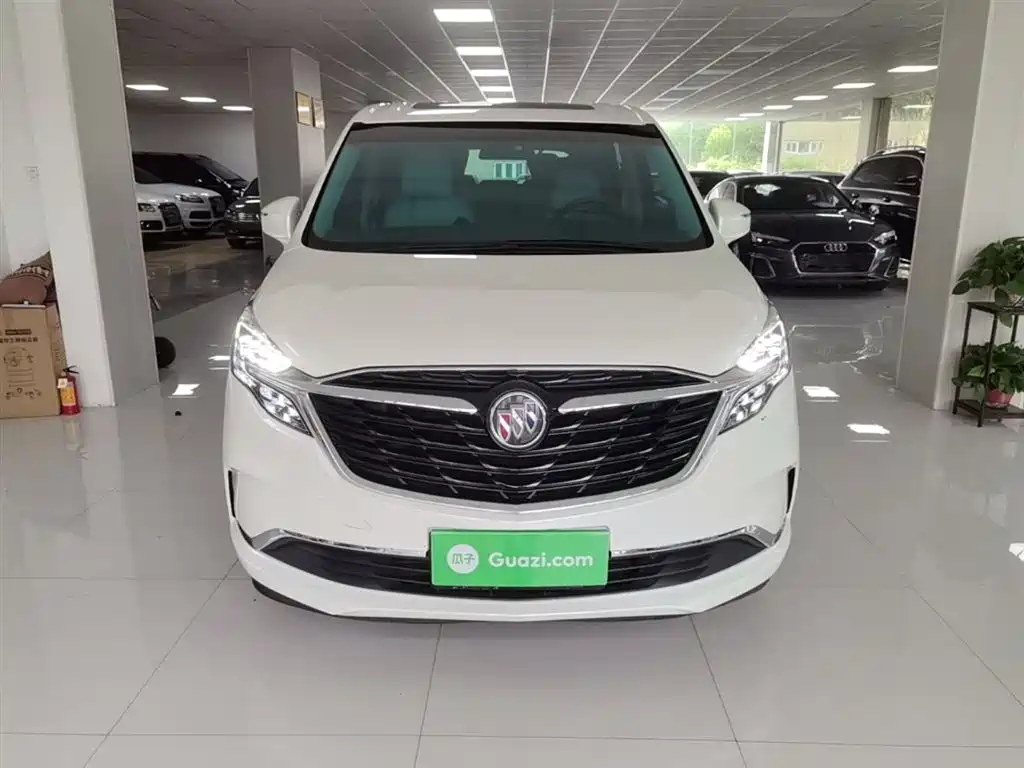 Buick GL8 2022 ES Landmark 653T Comfort фото 3