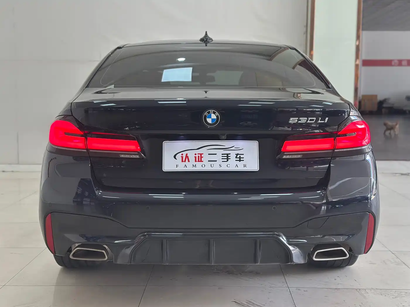 BMW 5 Series 2021 530Li Leading M Sport Package фото 18