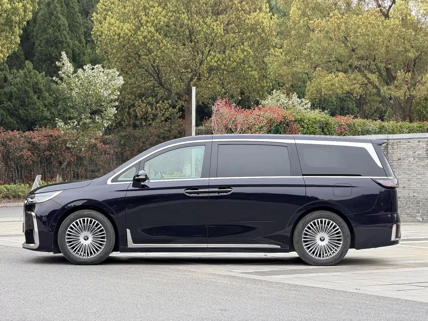 Voyah Auto Voyah Dreamer 2025 PHEV AWD Flagship Kunpeng Edition фото 3
