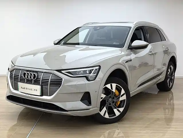  Audi Audi e-tron (Import) 2019 55 quattro Technology