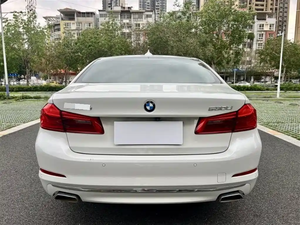 BMW 5 Series 2020 530Li Leading Luxury Package фото 8