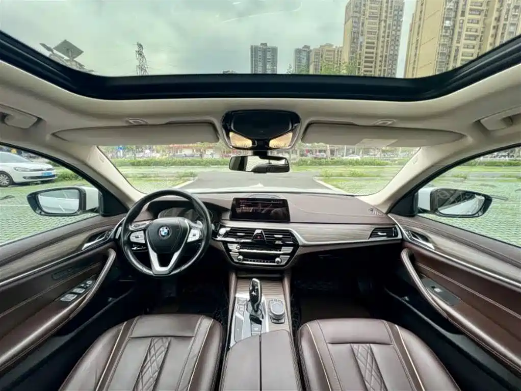 BMW 5 Series 2020 530Li Leading Luxury Package фото 5