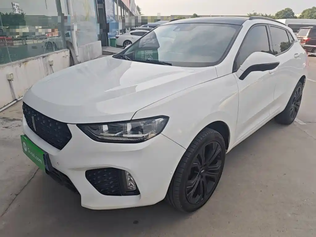 WEY VV5 2017 2017 2.0T Flagship Model