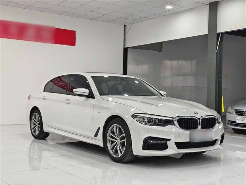 BMW 5 Series 2019 525Li M Sport Package фото 4