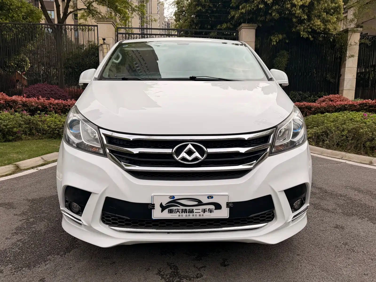 Фото 2 - Maxus G10