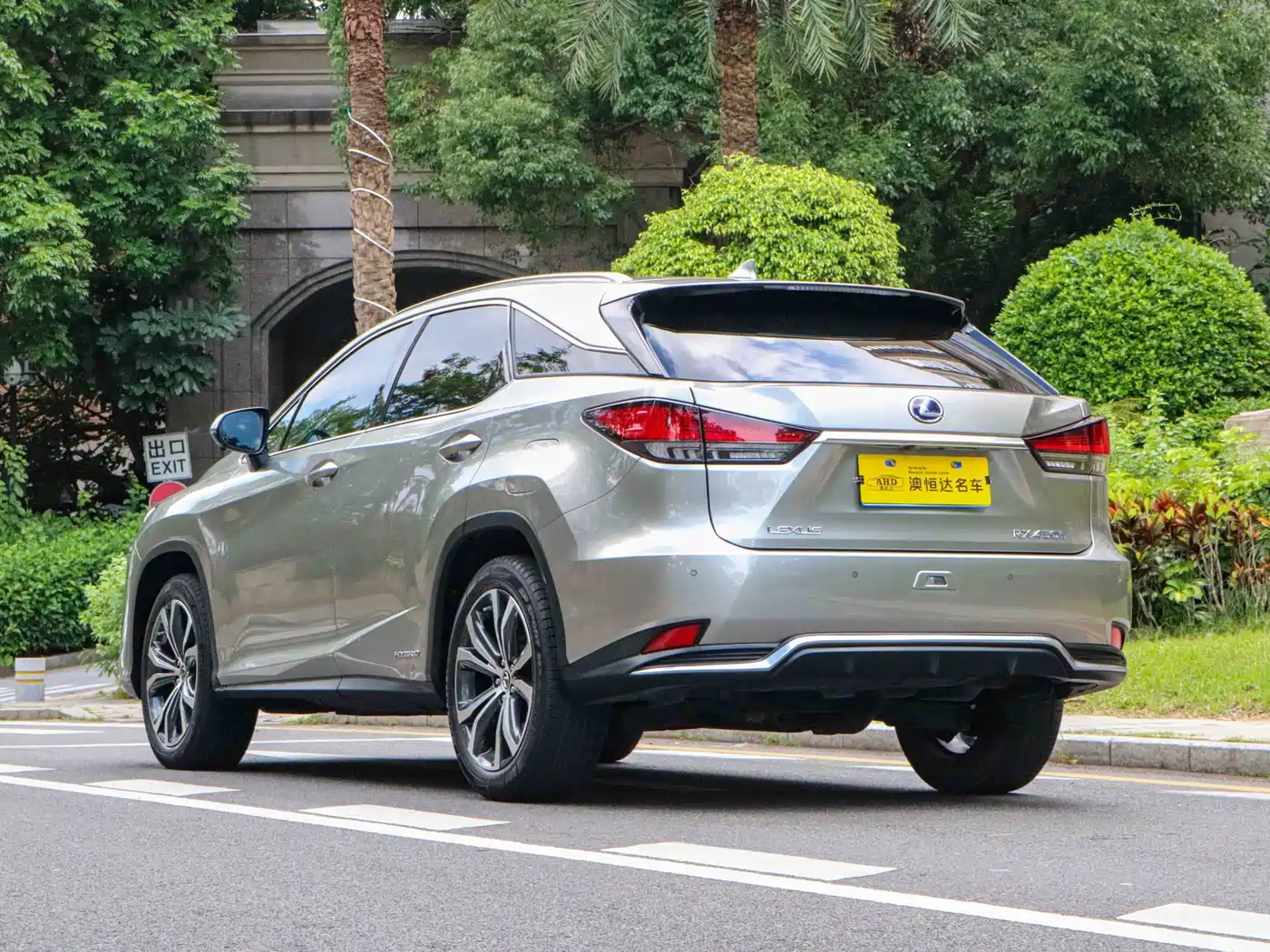 LEXUS RX