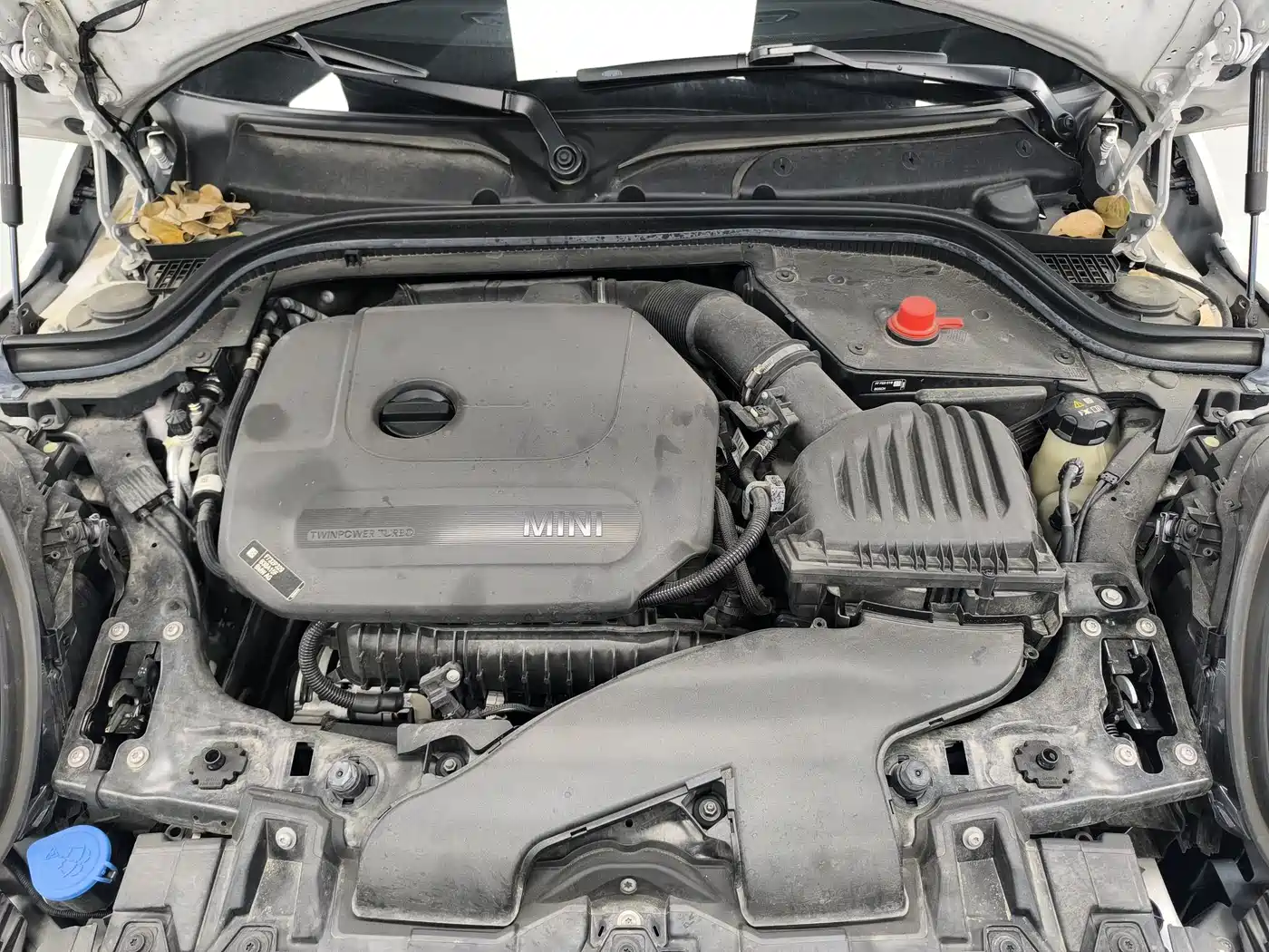 MINI 2023 Facelift 1.5T COOPER Artist фото 16
