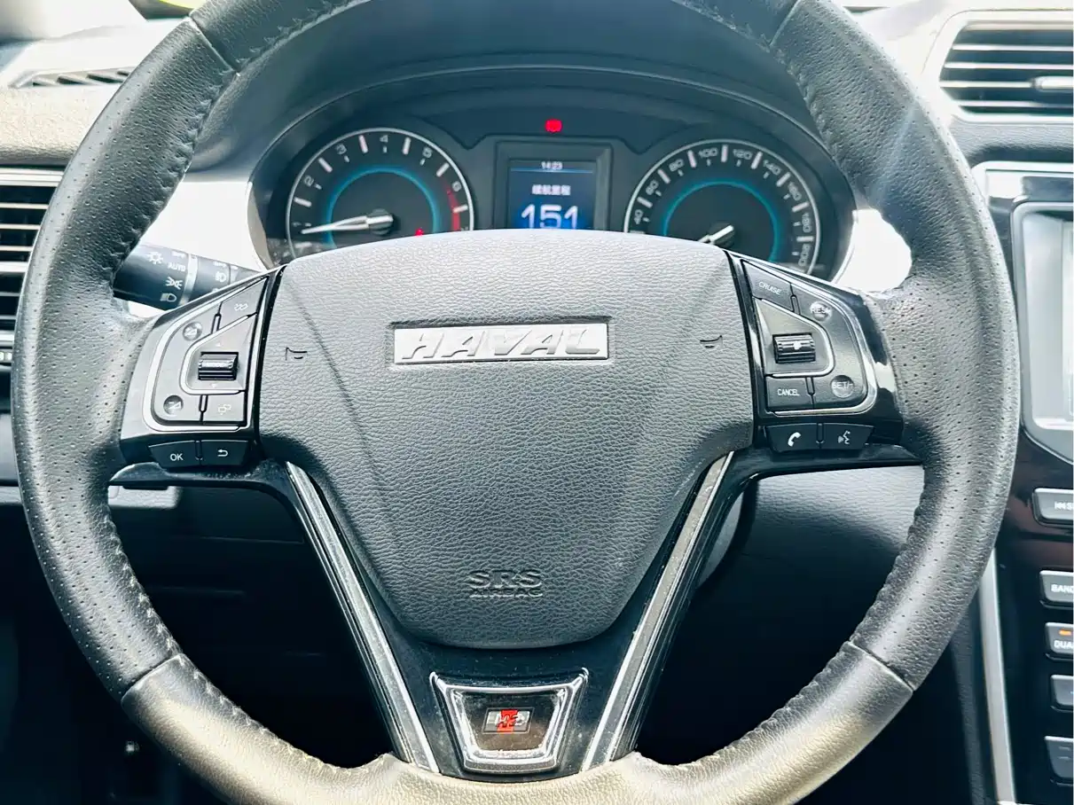 HAVAL H2