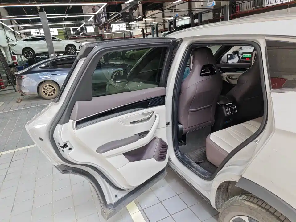 BYD Song PLUS PHEV 2025 DM-i 112KM Honor фото 6