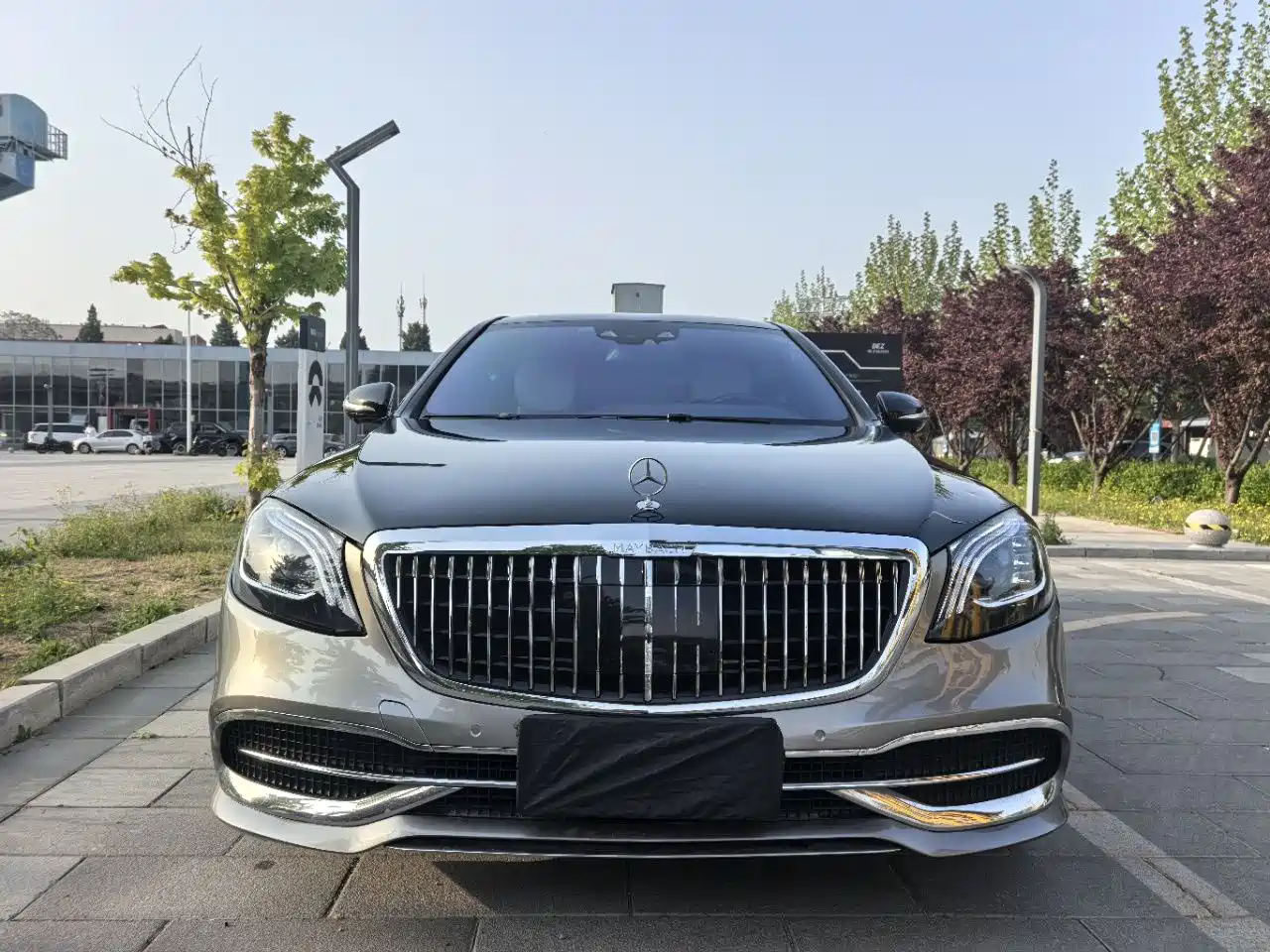 Mercedes-Benz S-Class 2014 S 400 L HYBRID фото 2
