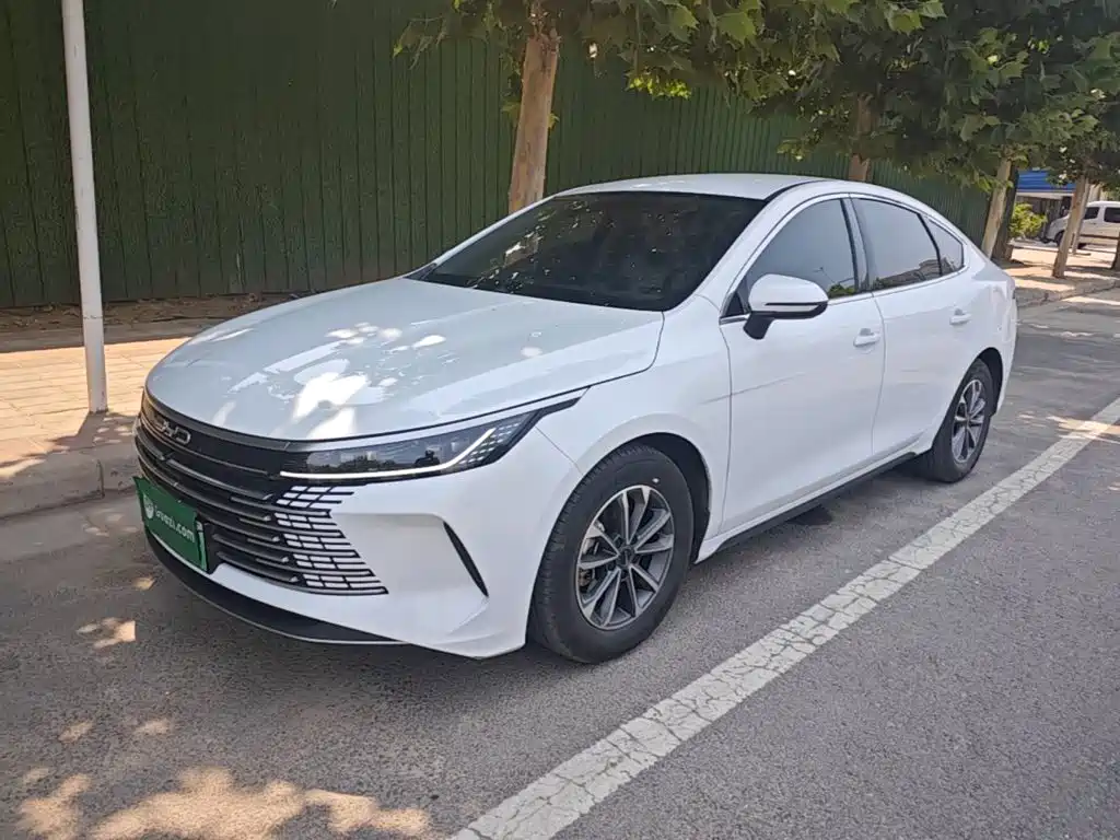 BYD Destroyer 05 2024 Glory Edition DM-i 55KM Luxury