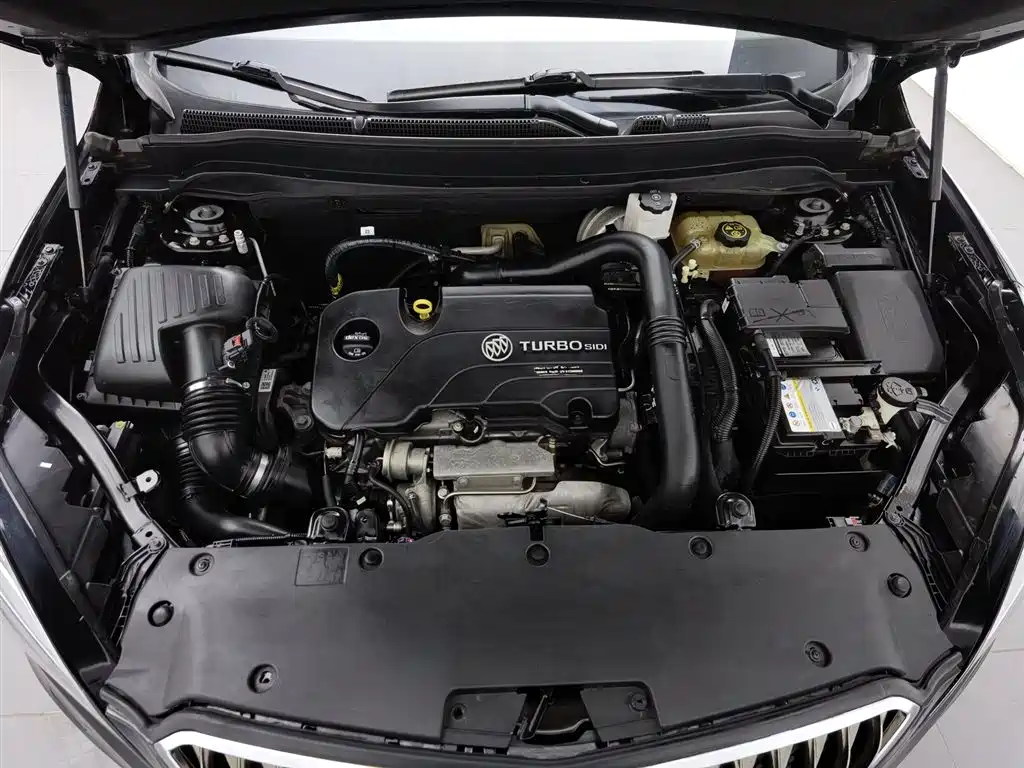 Buick Envision Plus 2017 20T 2WD Luxury фото 6