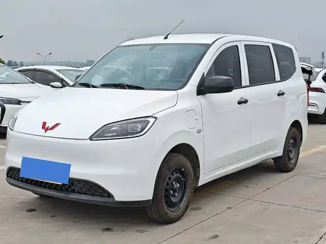 WULING WULING HONGGUANG NEW ENERGY