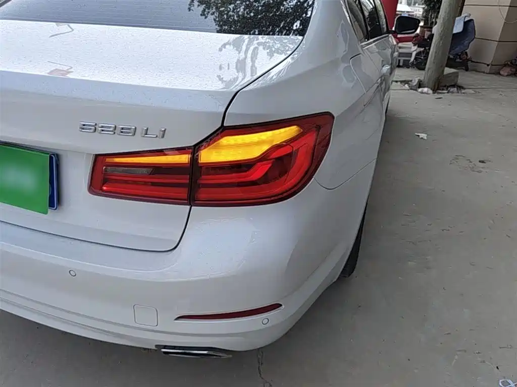 BMW 5 Series 2018 528Li Launch Special Edition фото 24