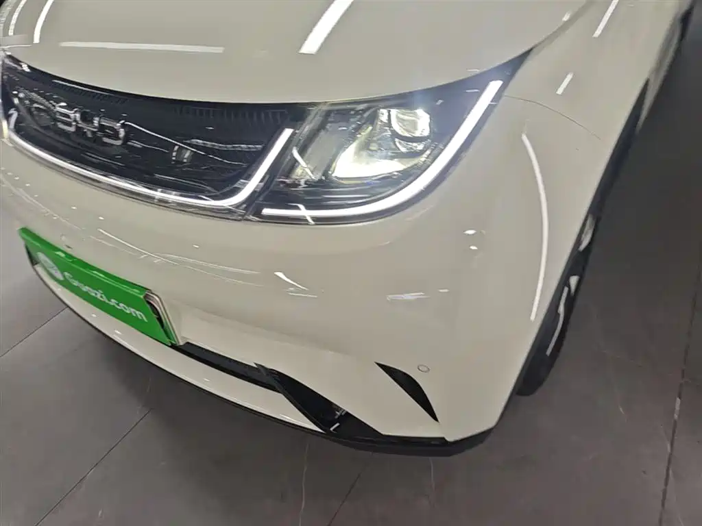 BYD Dolphin 2025 420km Fashion Edition фото 24