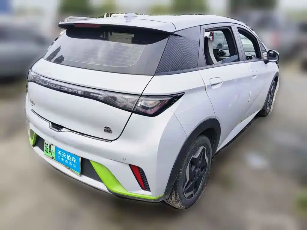 BYD Dolphin 2021 2021 405km Freedom Edition