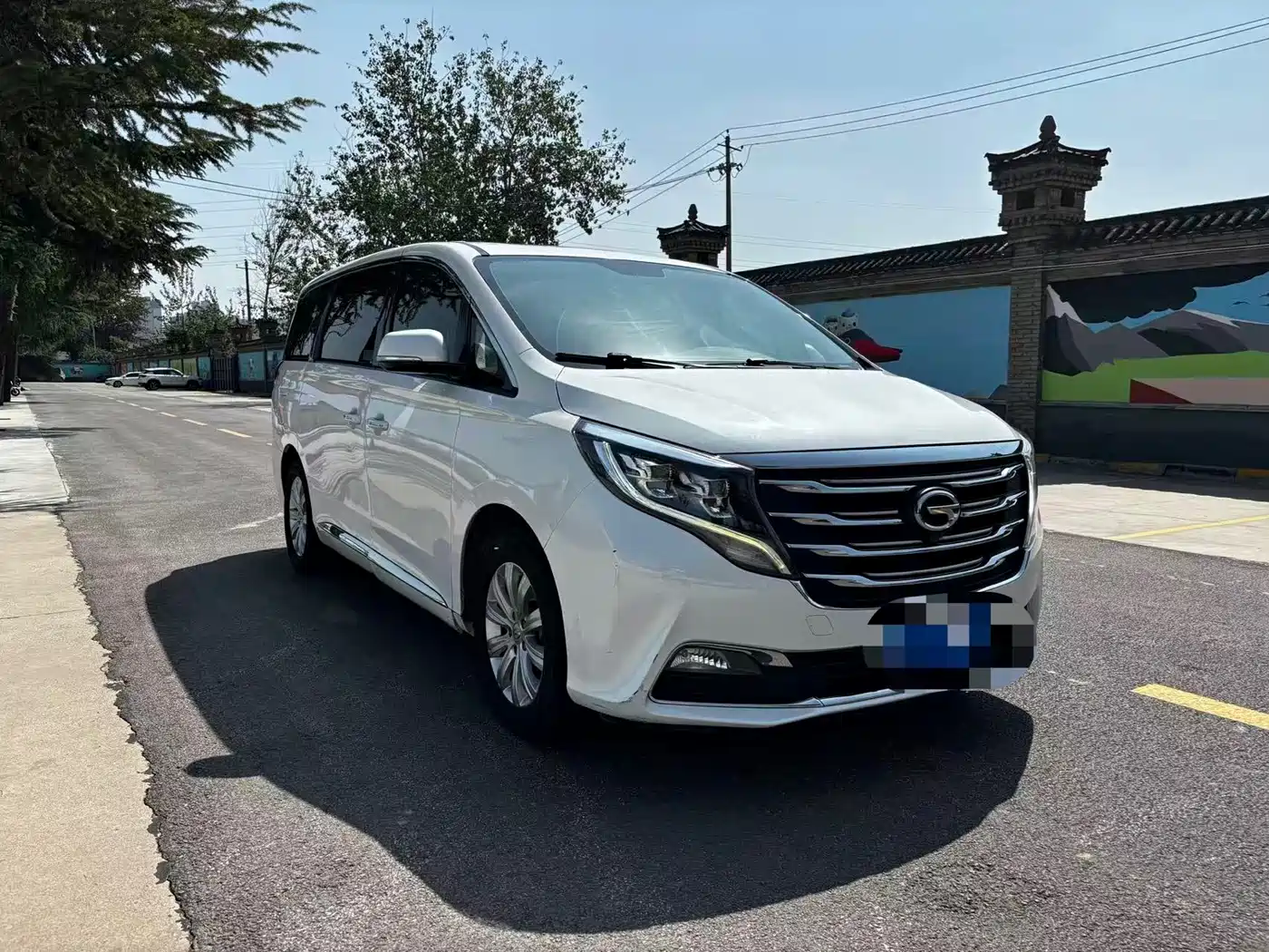 GAC Trumpchi Trumpchi M8 2018 320T Exclusive Edition фото 13
