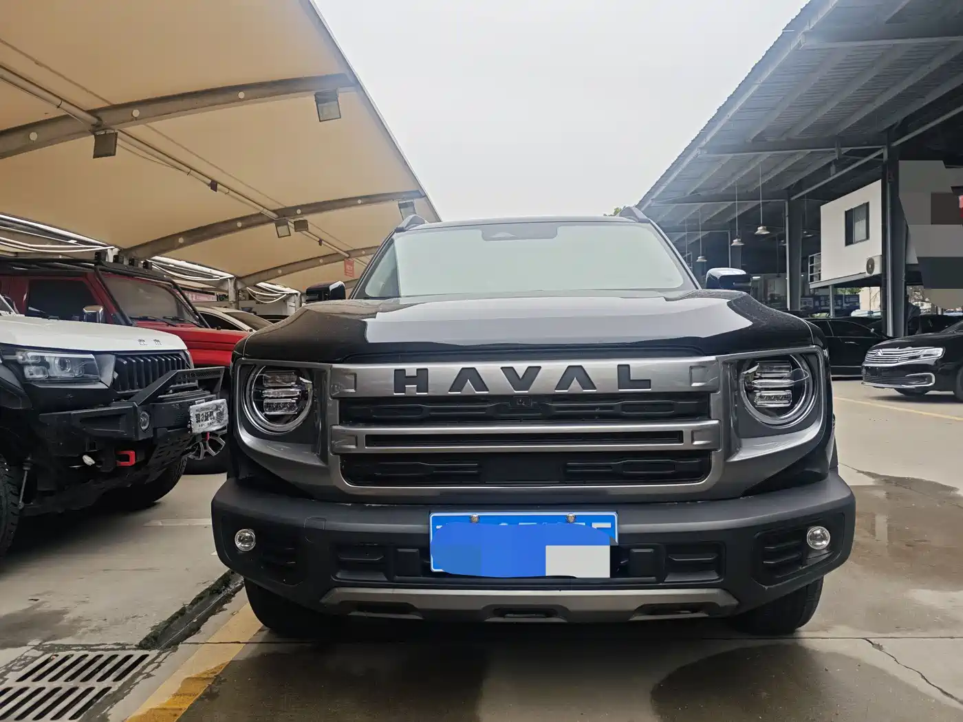 Haval Big Dog 2024 1.5T DCT Border Collie Edition фото 2