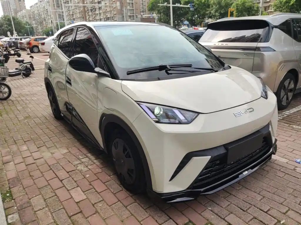 BYD Seagull 2023 Vitality Edition фото 4