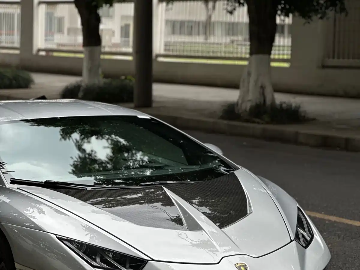 Lamborghini Huracán 2016 Huracán RWD Coupe фото 23