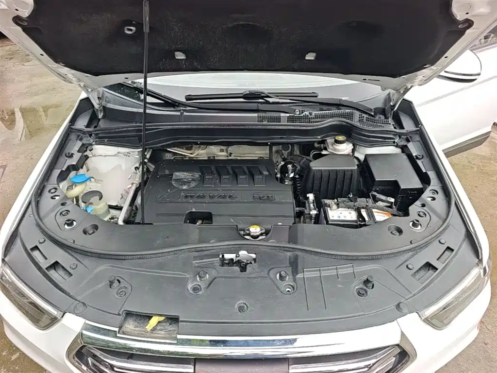 Haval H6 2018 Blue Label Sport 1.5T Manual 2WD Elite фото 16