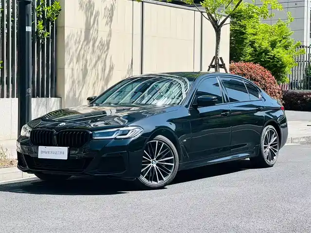 BMW 5 Series 2021 530Li Leading M Sport Package