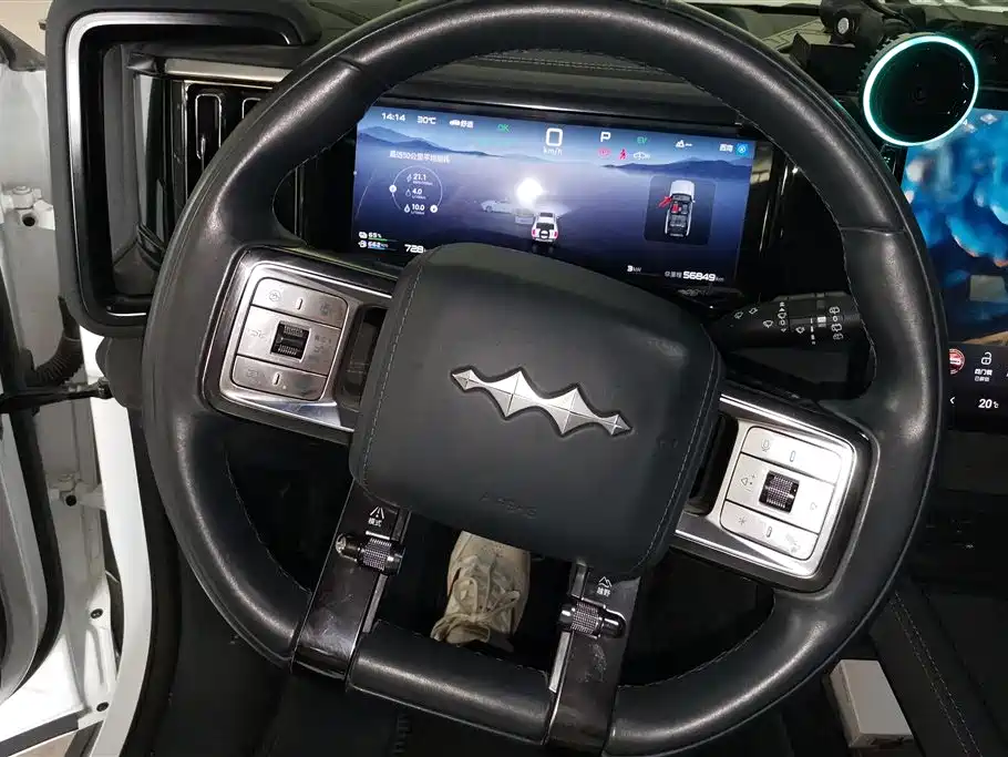 FANG CHENG BAO LEOPARD 5