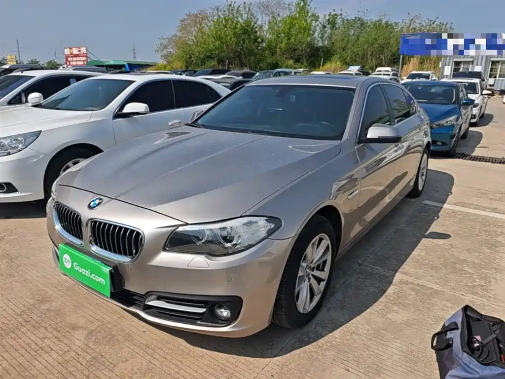 BMW 5 Series 2014 520Li Elegance фото 2