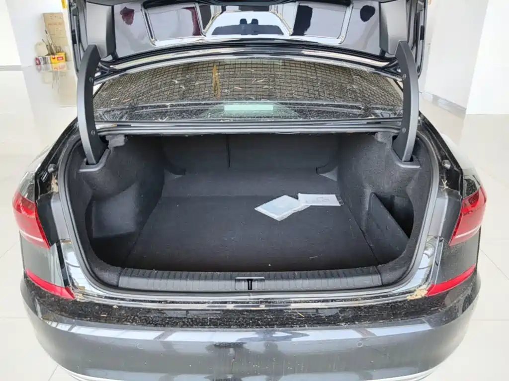 صورة 19 - Volkswagen Passat