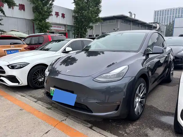 Tesla Model Y 2021 Standard Range Rear-Wheel Drive