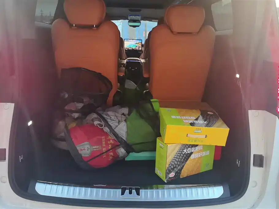 GEELY GALAXY WING TRUE L380