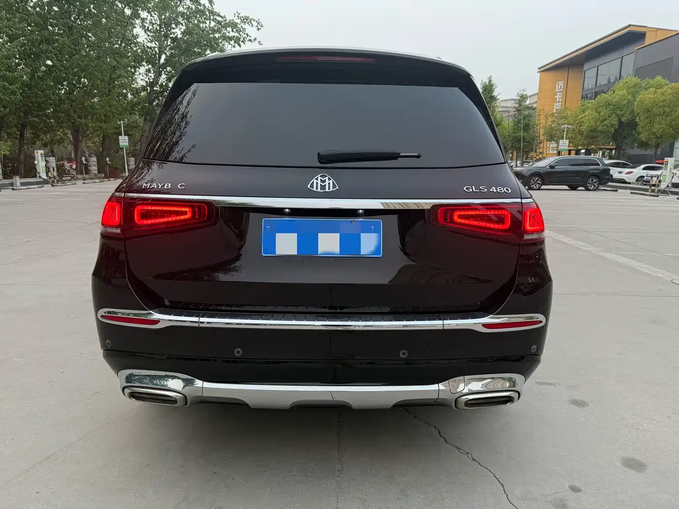 Mercedes-Benz Maybach GLS 2021 GLS 480 4MATIC фото 12
