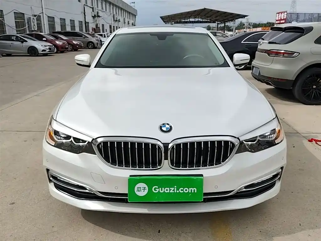 BMW 5 Series 2019 525Li Luxury Package фото 3