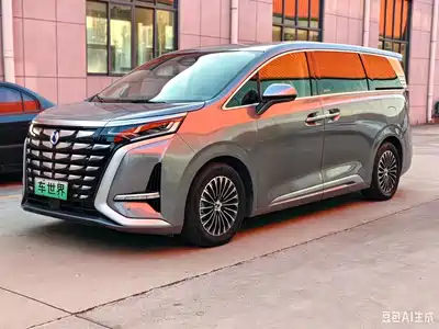 Denza D9