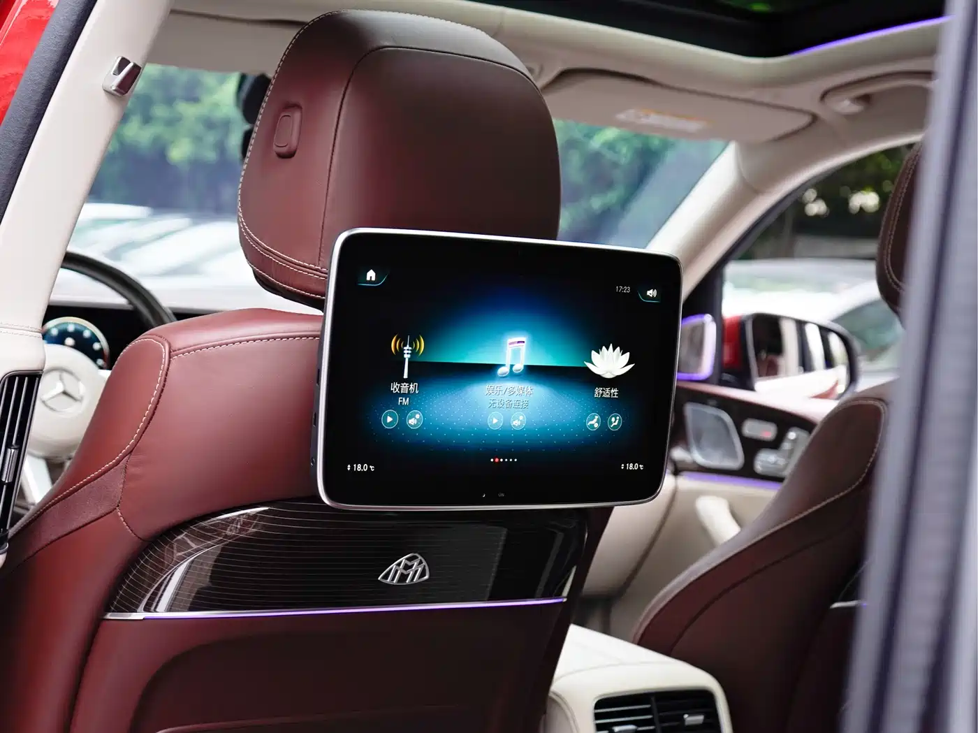 Mercedes-Benz Maybach GLS 2021 GLS 600 4MATIC Etiquette Edition фото 19