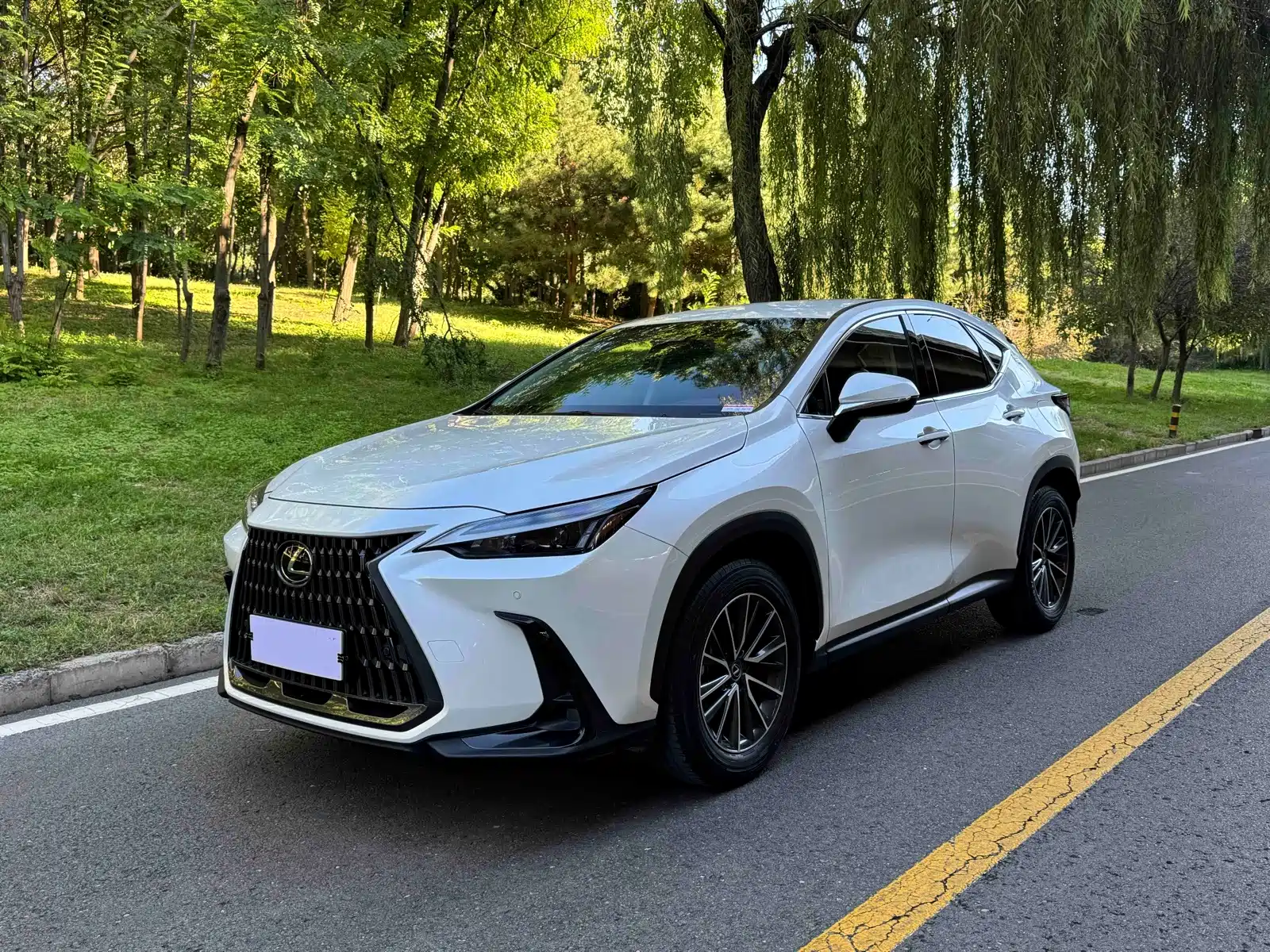 Фото 1 - Lexus NX