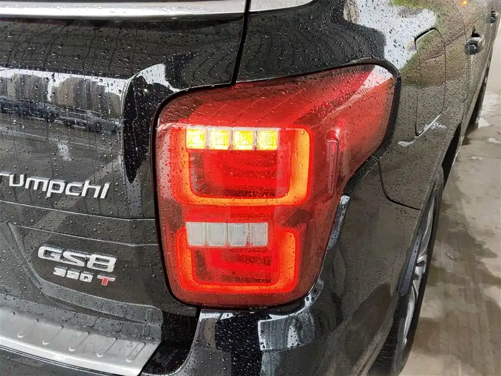 GAC Trumpchi Trumpchi GS8 2019 390T 2WD Luxury Smart Connect Edition (7-seater) фото 8