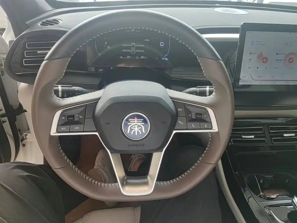 BYD Qin PLUS 2024 Glory Edition DM-i 55KM Leading фото 11