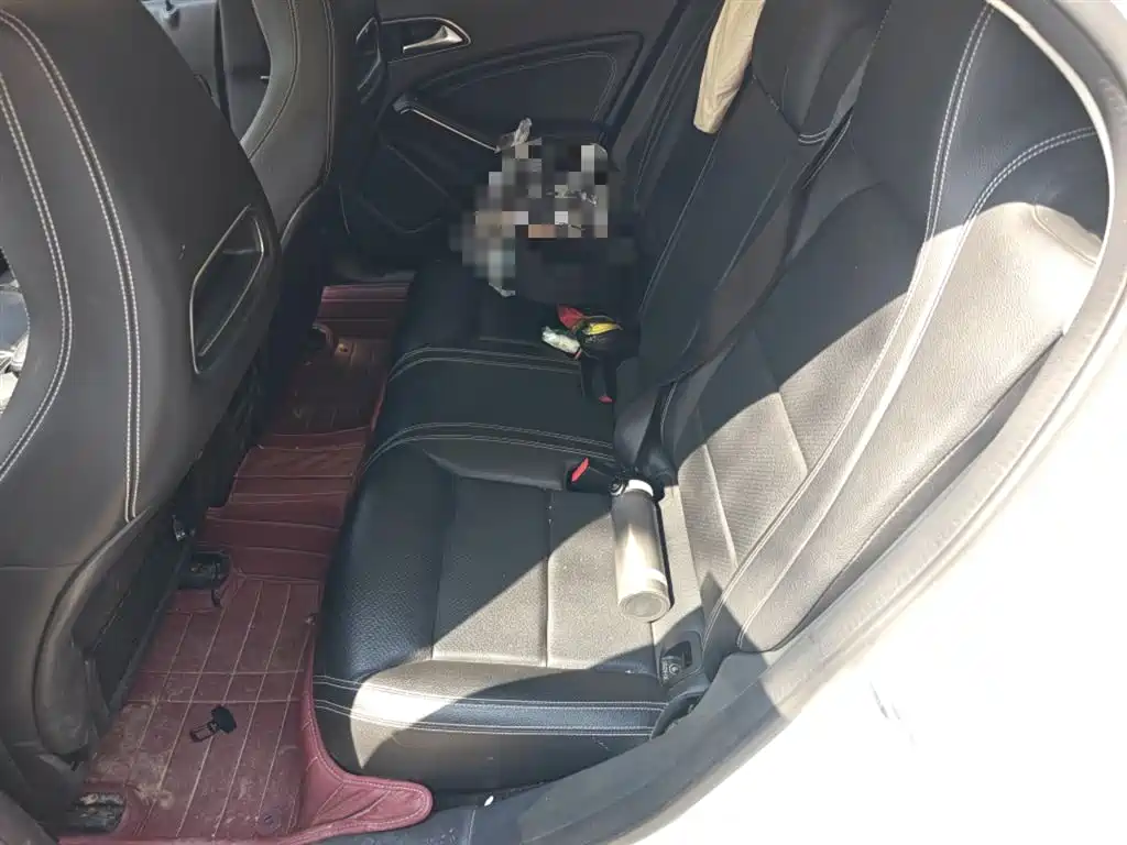 Mercedes-Benz GLA 2018 GLA 200 Dynamic фото 15
