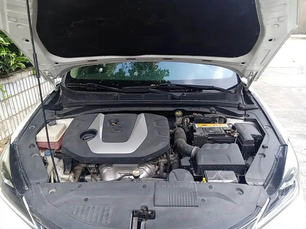Photo 20 - Changan Eado